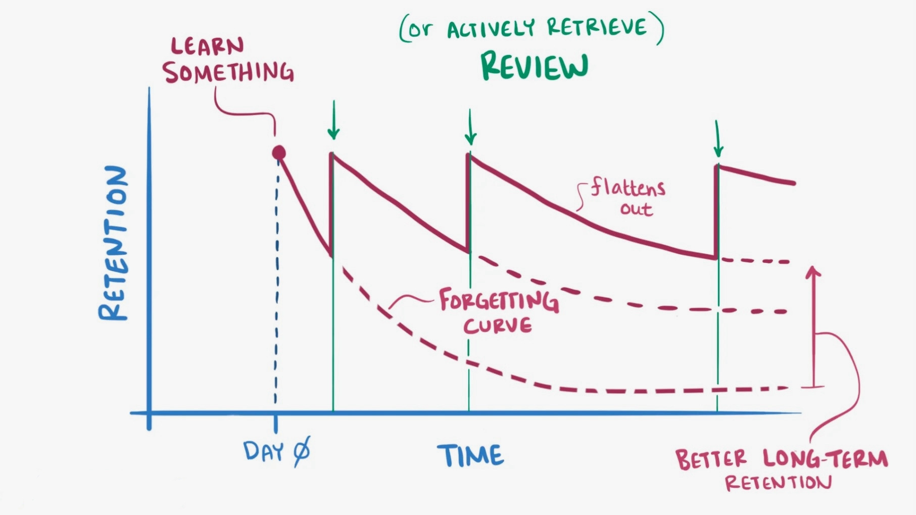 Memory Retention Graph